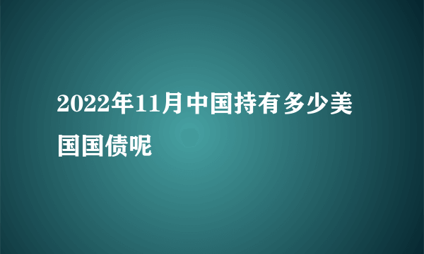 2022年11月中国持有多少美国国债呢