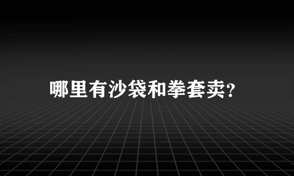 哪里有沙袋和拳套卖？