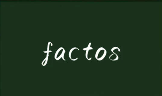 factos翻译成中文