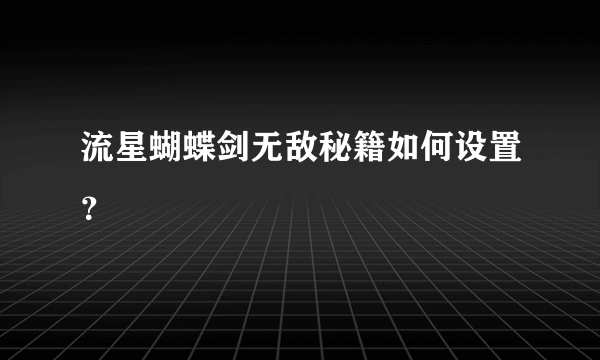 流星蝴蝶剑无敌秘籍如何设置？