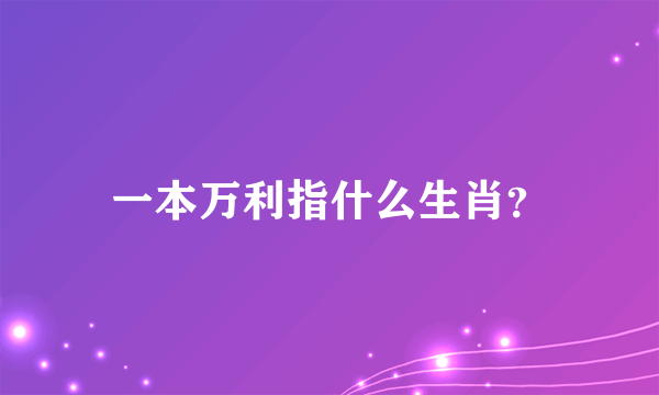 一本万利指什么生肖？