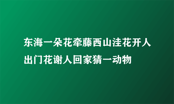 东海一朵花牵藤西山洼花开人出门花谢人回家猜一动物