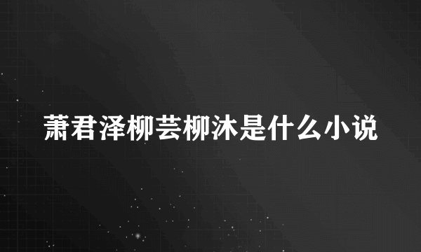 萧君泽柳芸柳沐是什么小说