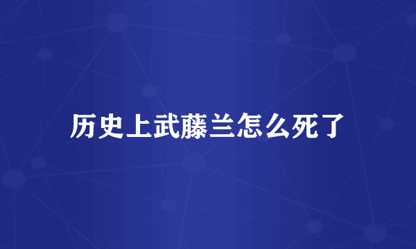 历史上武藤兰怎么死了