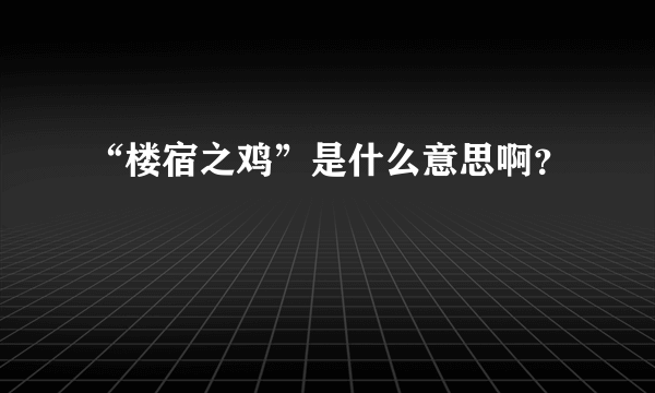 “楼宿之鸡”是什么意思啊？