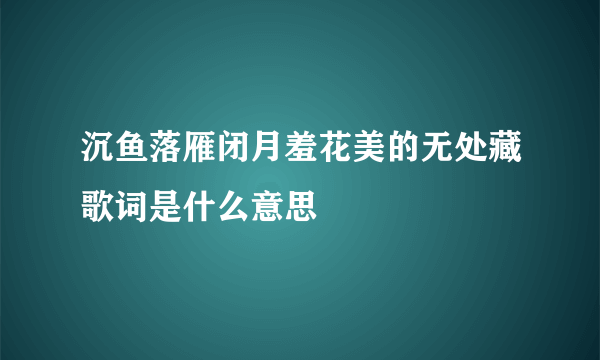 沉鱼落雁闭月羞花美的无处藏歌词是什么意思