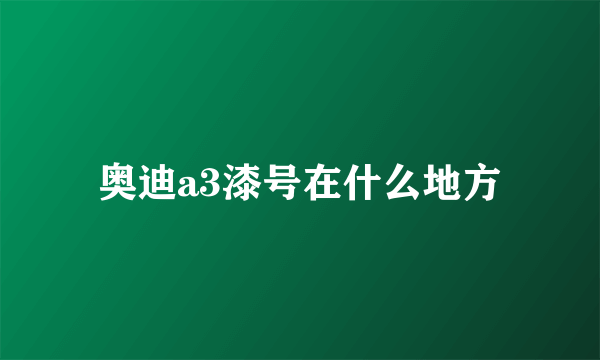 奥迪a3漆号在什么地方