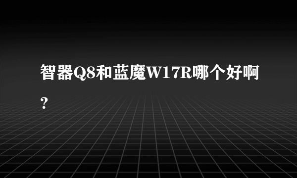 智器Q8和蓝魔W17R哪个好啊？