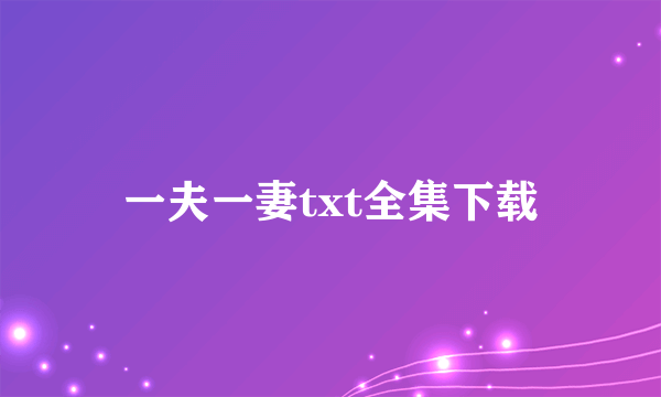 一夫一妻txt全集下载