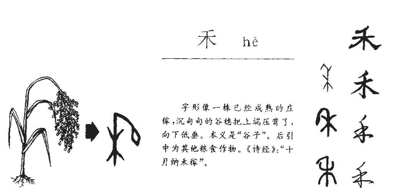 脑筋急转弯木字多一撇是什么字