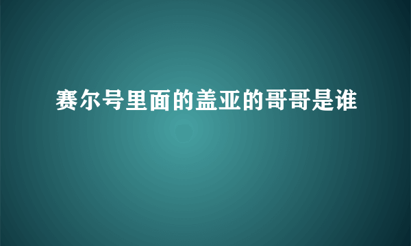 赛尔号里面的盖亚的哥哥是谁