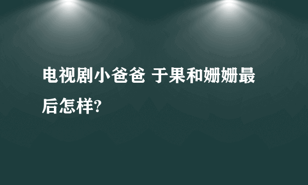 电视剧小爸爸 于果和姗姗最后怎样?