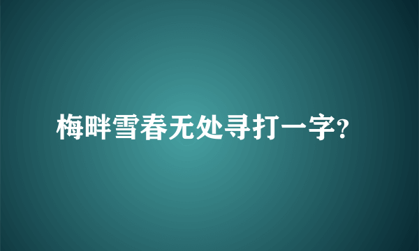 梅畔雪春无处寻打一字？