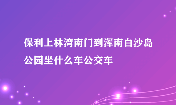 保利上林湾南门到浑南白沙岛公园坐什么车公交车