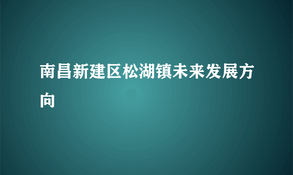 南昌新建区松湖镇未来发展方向