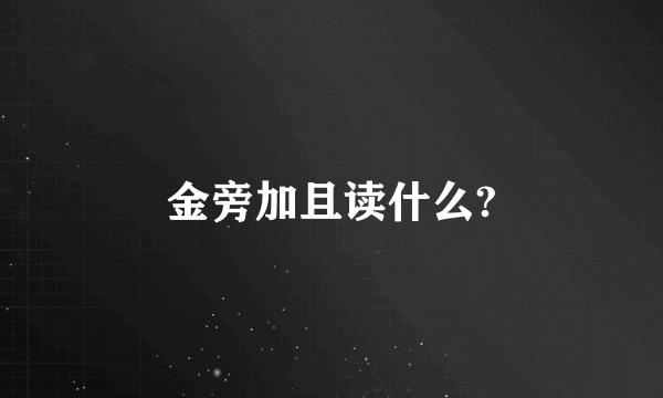 金旁加且读什么?