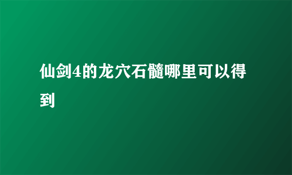 仙剑4的龙穴石髓哪里可以得到