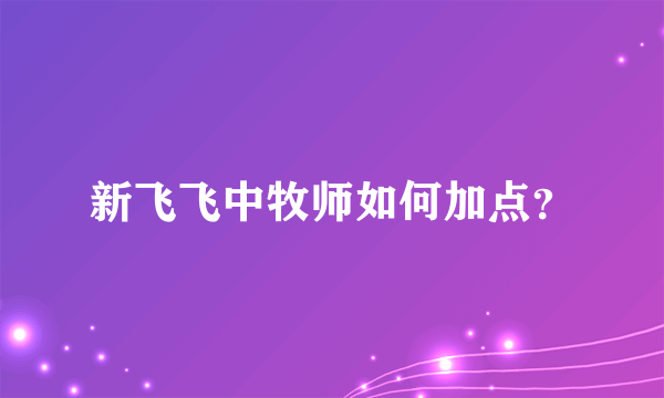 新飞飞中牧师如何加点？