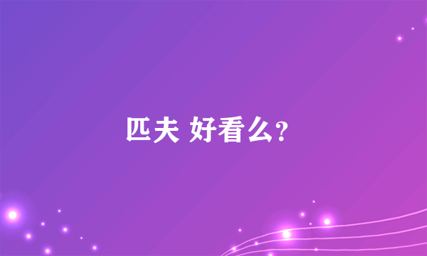 匹夫 好看么？