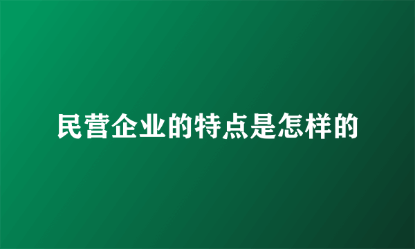 民营企业的特点是怎样的