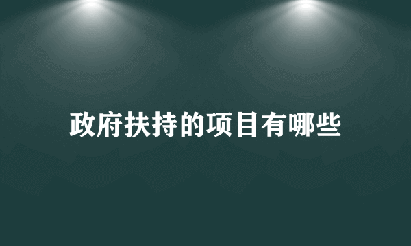 政府扶持的项目有哪些