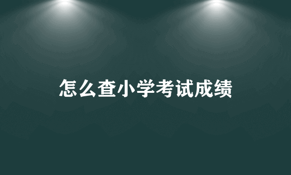 怎么查小学考试成绩