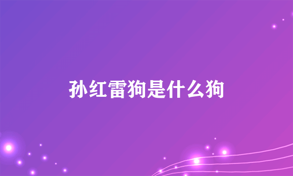 孙红雷狗是什么狗