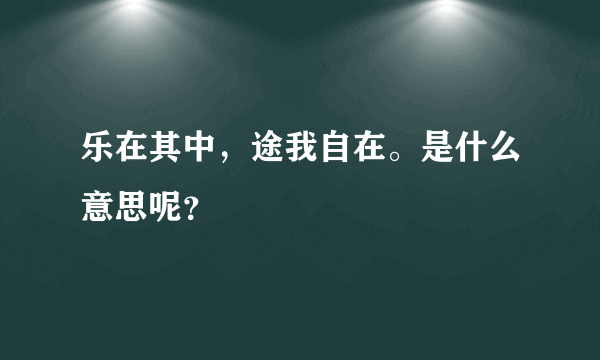 乐在其中，途我自在。是什么意思呢？