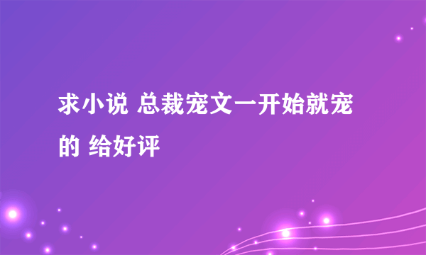 求小说 总裁宠文一开始就宠的 给好评