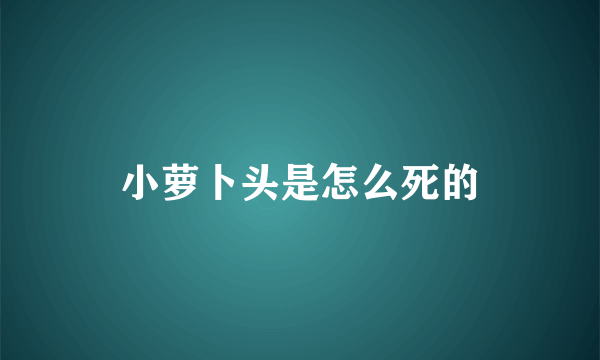 小萝卜头是怎么死的