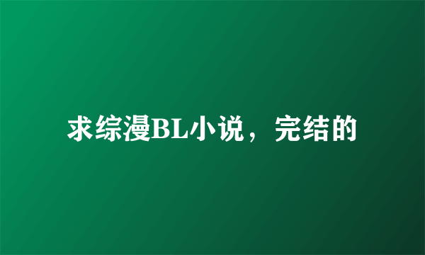 求综漫BL小说，完结的