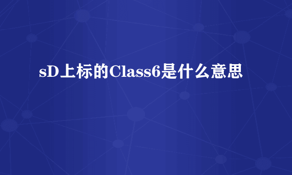 sD上标的Class6是什么意思