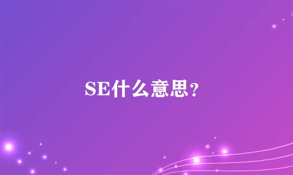 SE什么意思？