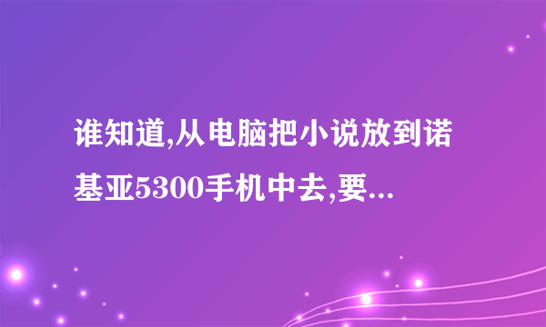 谁知道,从电脑把小说放到诺基亚5300手机中去,要用什么格式?