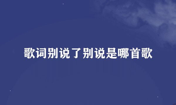 歌词别说了别说是哪首歌