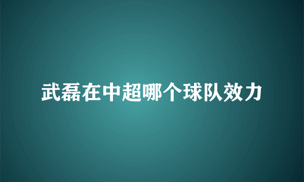 武磊在中超哪个球队效力