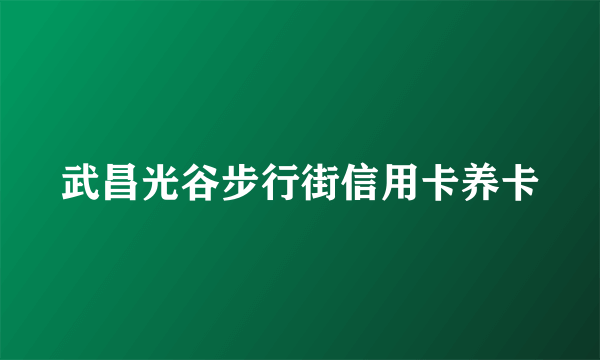 武昌光谷步行街信用卡养卡