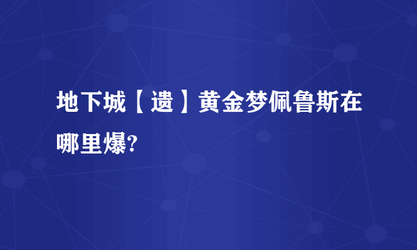 地下城【遗】黄金梦佩鲁斯在哪里爆?