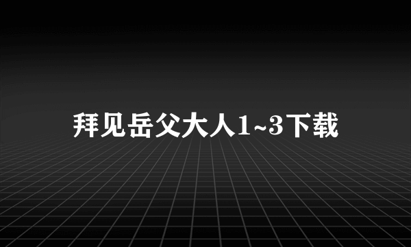 拜见岳父大人1~3下载