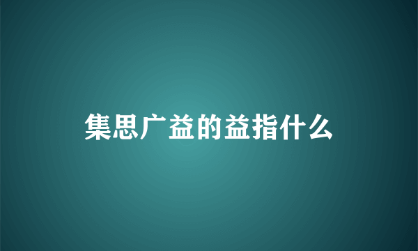 集思广益的益指什么