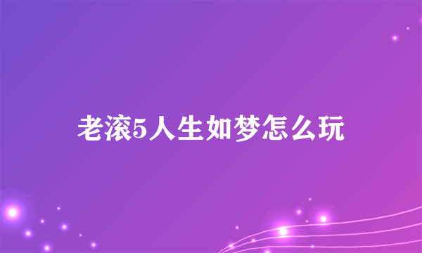 老滚5人生如梦怎么玩