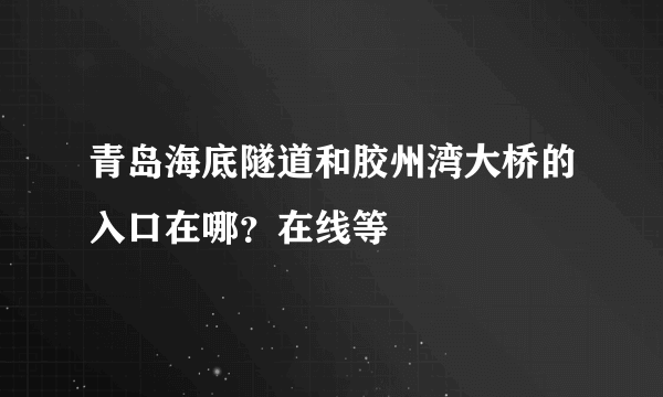 青岛海底隧道和胶州湾大桥的入口在哪？在线等