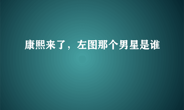 康熙来了，左图那个男星是谁