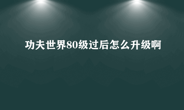 功夫世界80级过后怎么升级啊