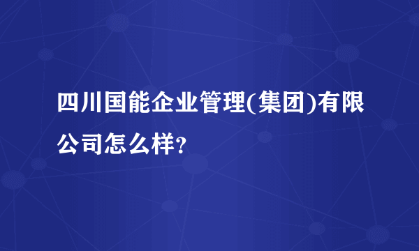 四川国能企业管理(集团)有限公司怎么样？