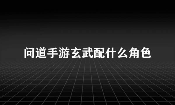 问道手游玄武配什么角色