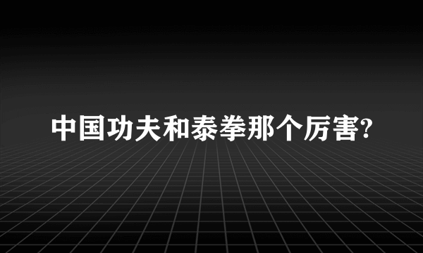 中国功夫和泰拳那个厉害?