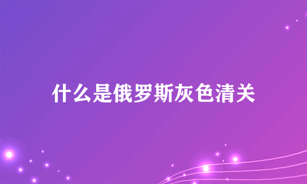 什么是俄罗斯灰色清关