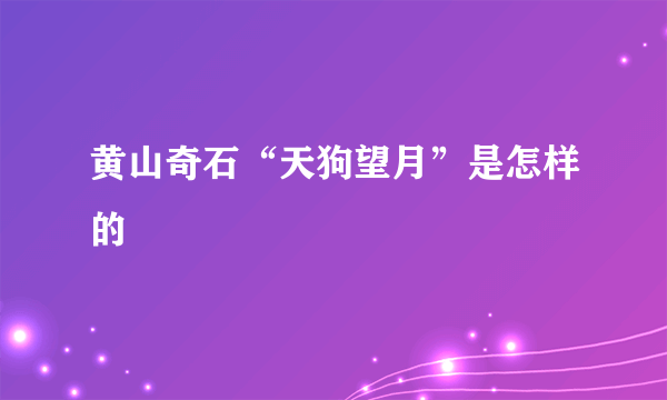 黄山奇石“天狗望月”是怎样的