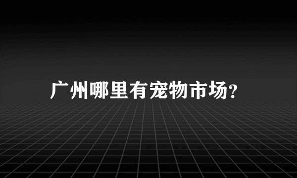 广州哪里有宠物市场？